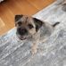 Ian Bridgeman - Facebook