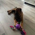 Ianbridgeman - @ian.mhlj.23 - Instagram