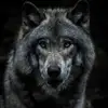 Ian Bruno - @ian.bruno1 - TikTok