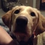 Ian Bryson - @ianthebossman67 - Instagram