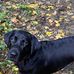 Ian Buxton - Facebook