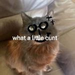 Ian Calder - @ian.calder.35 - Instagram