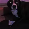 iancamm69 - @iancamm69 - TikTok