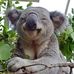 Ian Camp - Facebook