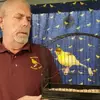 Ian Candy - @ian.candy8 - TikTok