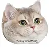 ianlikescandy - @ianlikescandy - TikTok