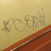 Ian Carbone - @ian.carbone - TikTok