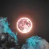 Ian Carrington609 - @the0nlycloud - TikTok