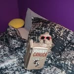 Ian Castle - @ian.castle41 - Instagram