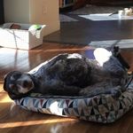 Ian Cates - @ian.cates - Instagram