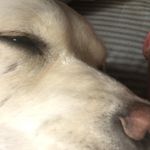 Ian Caudill - @ian.caudill.3 - Instagram