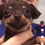 Ian caudill - @caudill.ian - Instagram