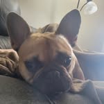 Ian Caudle - @caudleia - Instagram