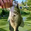 Ian caven - @ian.caven - TikTok