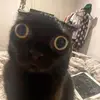 dabloonian - @dabloonian.centeral - TikTok