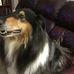 Ian Chadwick - Facebook