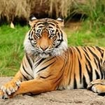 Ian Chance - @ian.chance.754 - Instagram