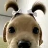 🥺ian🥺 - @ianchavez2007 - TikTok