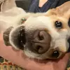 Ian St Clair - @ian.st.clair2 - TikTok