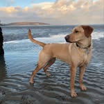 @ian_clowes - Instagram