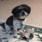 Ian Colley - @ian_colley - Instagram