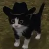 Ian - @ian.mcconnell - TikTok