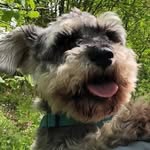 Ian Cookson - @ian.cookiemonster - Instagram