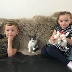 Ian Coutts - @stillgamefor_it - Instagram