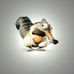 Ian Craft - Facebook