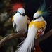 Ian Kip - Facebook