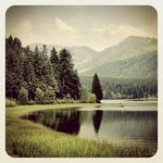 Ian Curley - @curley_ian - Instagram