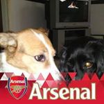 Ian Cuthbert - @cuthbertian - Instagram