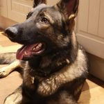 Ian Cuthbert - @ian_cuthbert - Instagram