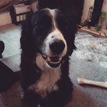 Ian cuthbert - @i.cuth.bert - Instagram