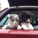 ian cuthbert - @iancuthbert2574 - Instagram