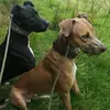 Ian Cuthbertson930 - @iancuthbertson6969 - TikTok