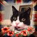 Ian Cutmore - Facebook