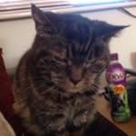 Ian Cutts - @boothifulphotobooth - Instagram