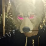 Ian Daffern - @iancharlesdaffern - Instagram