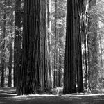 Ian Danielson Photography - @danielsongallery - Instagram