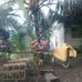 Ian Roca Dawe - Facebook