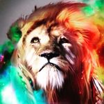 Ian de Jong - @jongiande - Instagram
