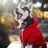 jaydenaroian - @jaydenaroian - TikTok