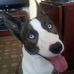Ian Denney - @ian_denney - Instagram