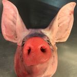 Ian Derbyshire - @ian.derbyshire3 - Instagram