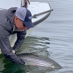 Ian Scott Devlin - @ian_devlin - Instagram