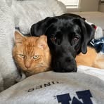 Ian Deye - Facebook