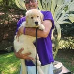 Ian Dietz - @ian.dietz.965 - Instagram