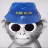 Ian_Dietz_ - @ian_dietz_ - TikTok