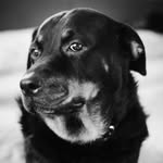 Ian Docherty - @idocphoto - Instagram